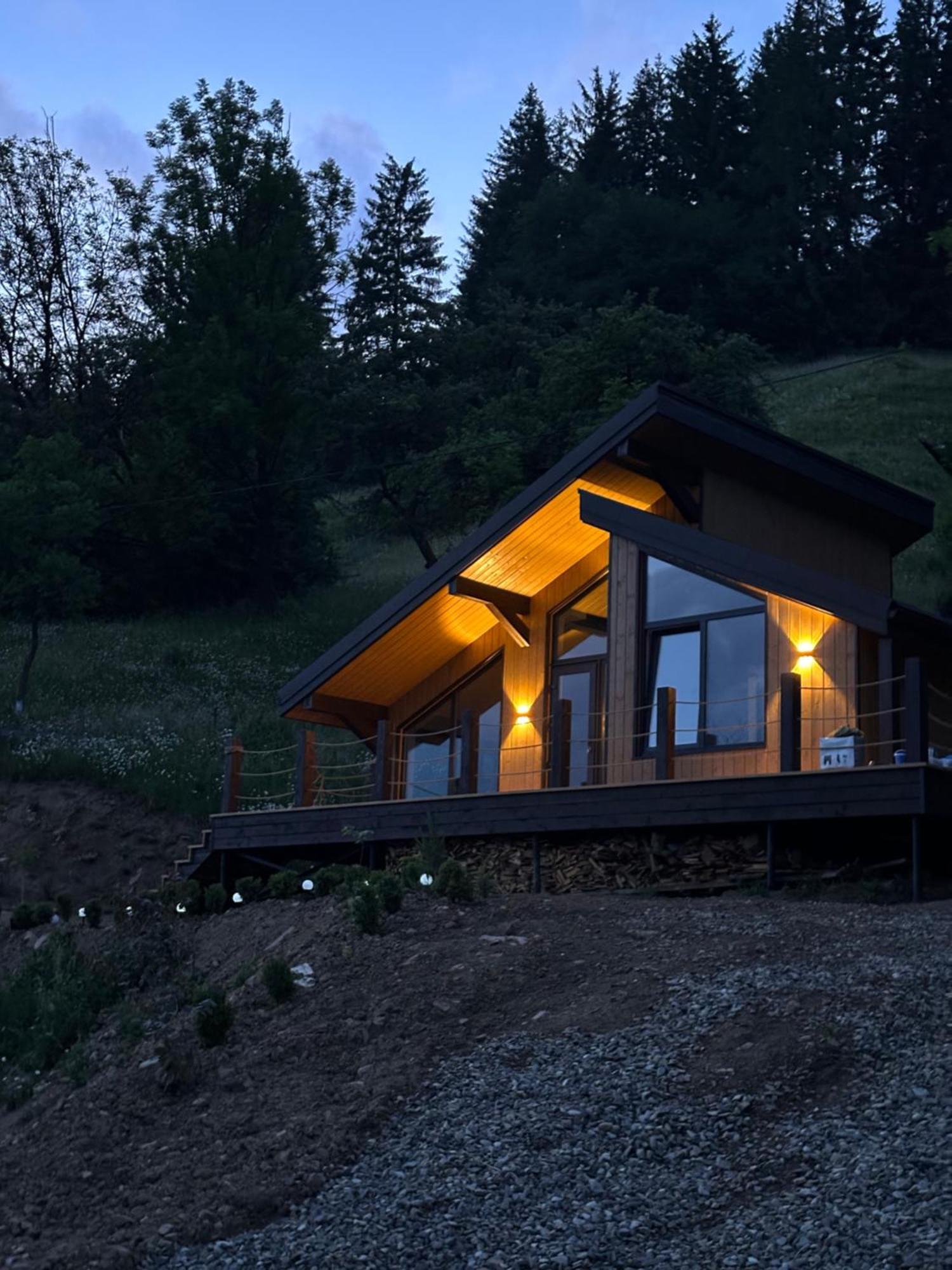 Petrick House Apartment Verkhovyna Exterior photo